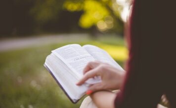 Domowa biblioteczka - co powinno się w niej znaleźć