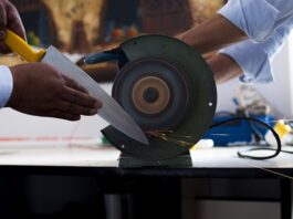 Jak samemu ostrzyc kota?