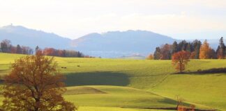 Ile to jest 13000 brutto?