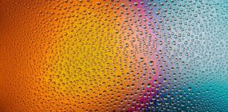 Jak i czym myć psu zęby?