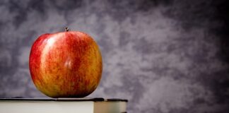 Kiedy wprowadzono 7 i 8 klasę?