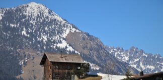 Jak wyciszyć psa w domu?