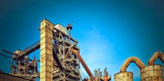 W czym Polska jest liderem w produkcji?