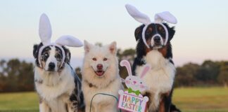 Jak się uczą Fińskie dzieci?