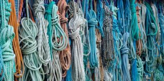 Czy czesanie psa go boli?