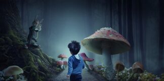 Ile kosztują grzybki?