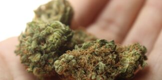 Dlaczego narkomani się drapią?