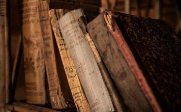 Dlaczego polski system edukacji jest zły?