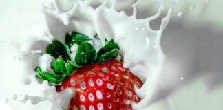 Po co Kanie moczy się w mleku?