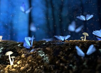 Czy grzyby mają DNA?