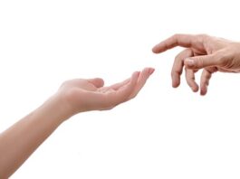 Kto ma lepszy zasięg Orange czy T-Mobile?