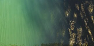 Co to znaczy że w szkole jest wysoki poziom?