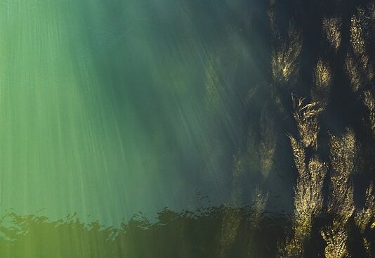 Co to znaczy że w szkole jest wysoki poziom?