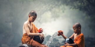 Ile kosztuje czyszczenie uszu u psa?