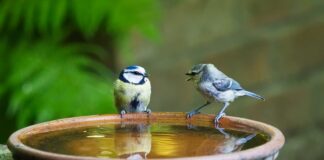 Jak się mówi po angielsku sztućce?