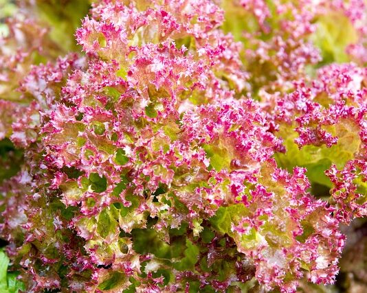 Co można zrobić ze starej pościeli?