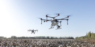 Jak rozpoznać że coś jest z bawełny?