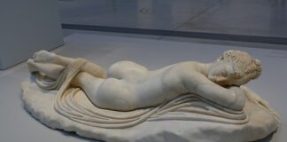 Jak długo żyją dżdżownice?