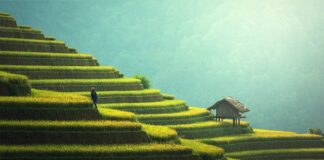 Czy można zrobić taras na dachu bloku?