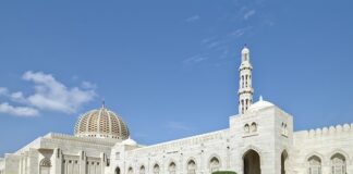 Gdzie wyrzucić zgniłe jabłka?