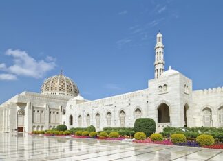 Gdzie wyrzucić zgniłe jabłka?