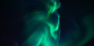 Jak przyspieszyć gnicie w kompostowniku?