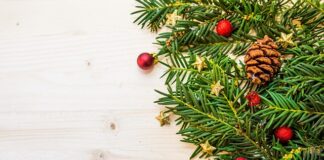 Czy igły sosnowe nadają się na kompost?