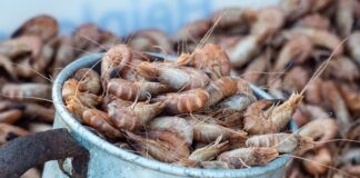 Przy jakim nowotworze bolą plecy?