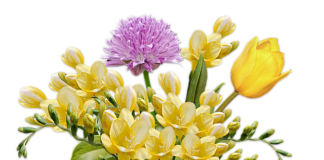 Z czego zrobić wiązankę na cmentarz?