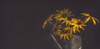 Jak jest konewka po niemiecku?