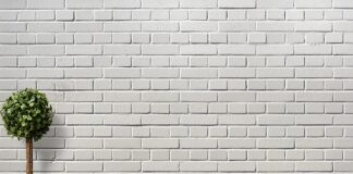 Czy Bukszpan nadaje się na kompostownik?