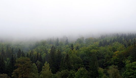 Jak zasłonić wejście na poddasze?