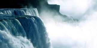 Jaka moc kosiarki elektrycznej do trawy?