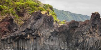 Co robi Szymon Sipowicz?