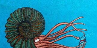 Co to jest syfon samoczyszczący?